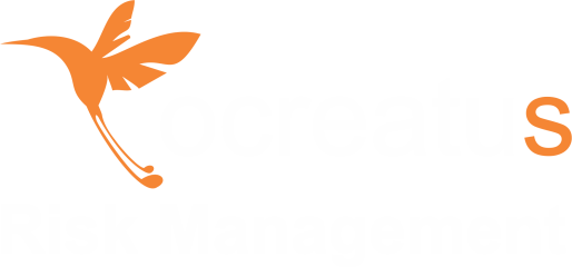 OCREATUS Risk Manageent